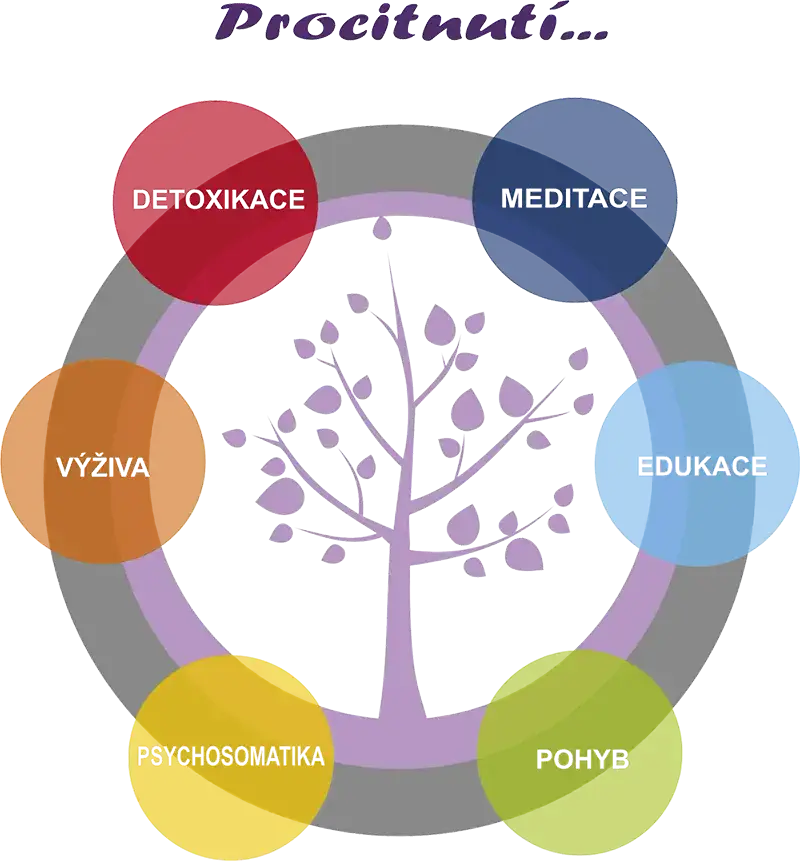 6 kroků pro lepší život naplněný zdravím a harmonií