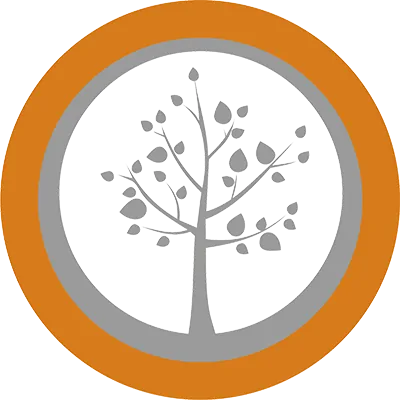 Výživa: Se správnou výživou zdravě zhubnete